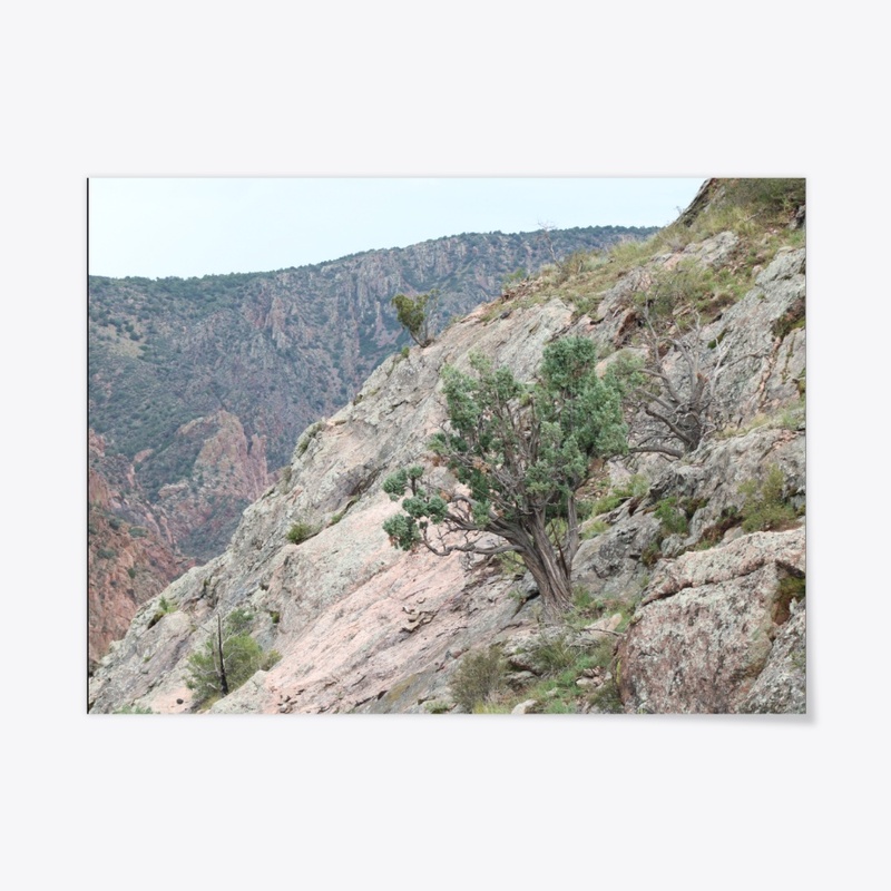 Gorge 5