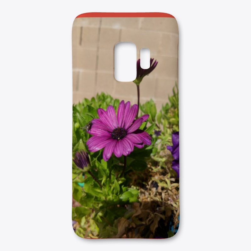 Purple daisy