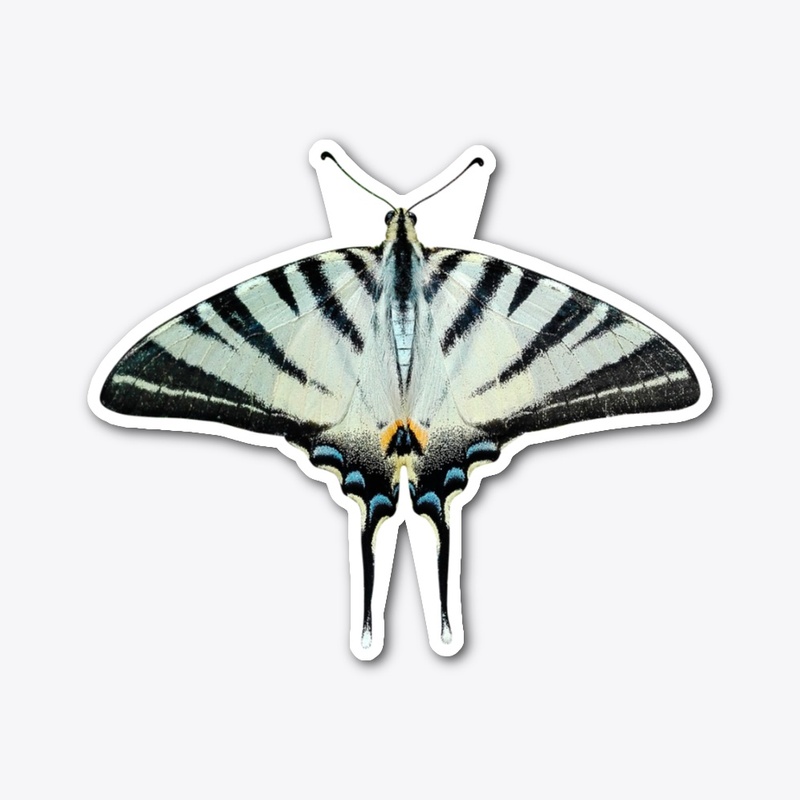 Fly Butterfly