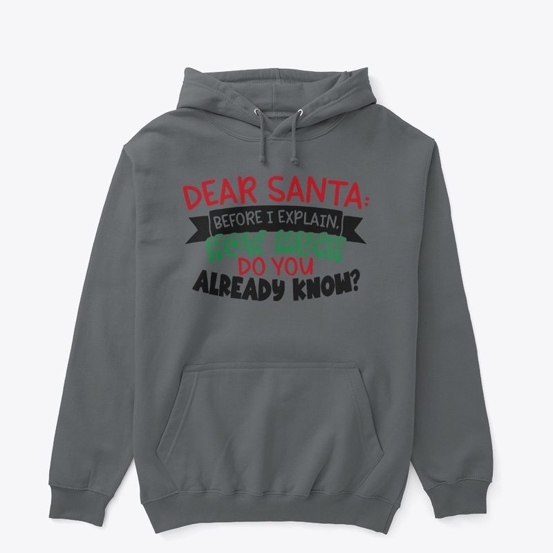 Dear Santa How Much Hoodie