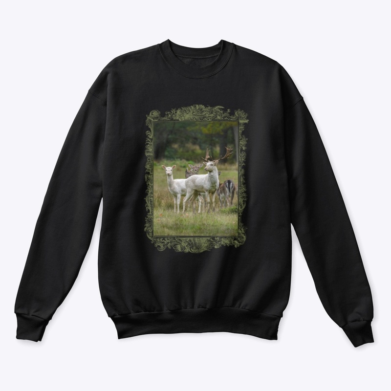 Pure Wildlife Lovers: White Fallow Deer
