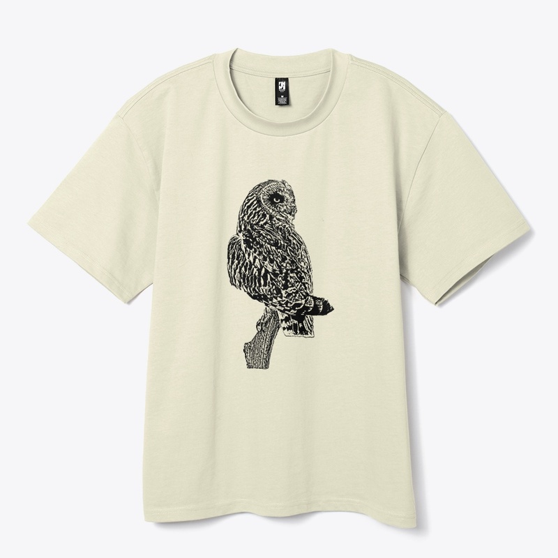 Short-eared Owl Birdwatching