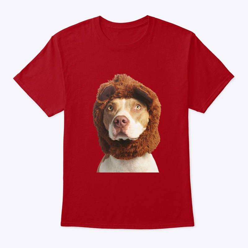 Pitbull australien