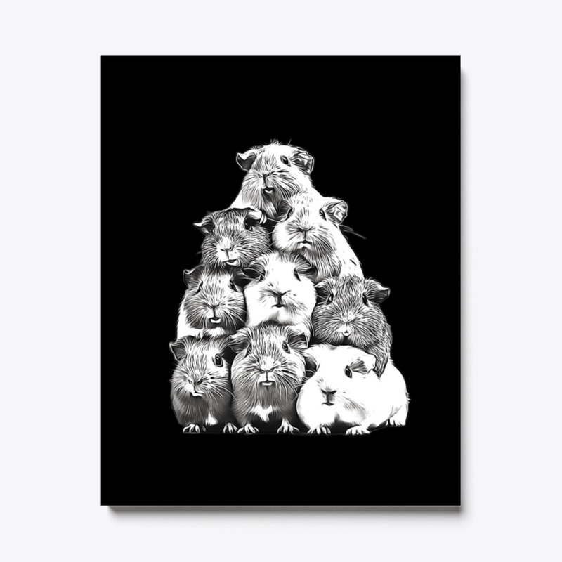 Guinea Pig Pyramid