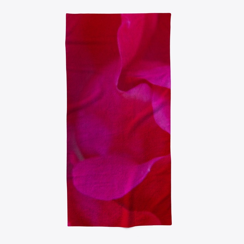 red rose macro