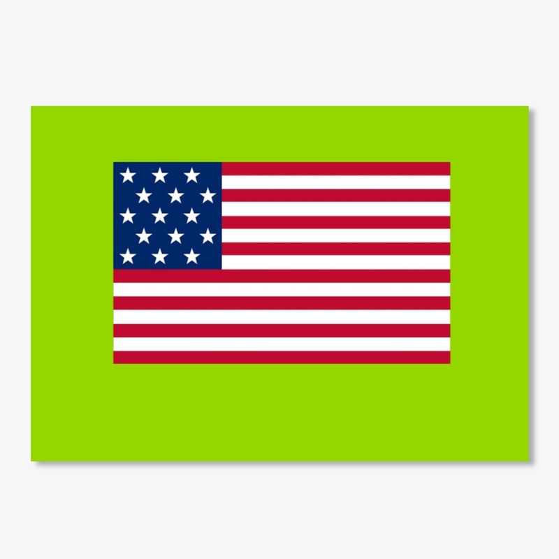 USA  flag  T-shirt