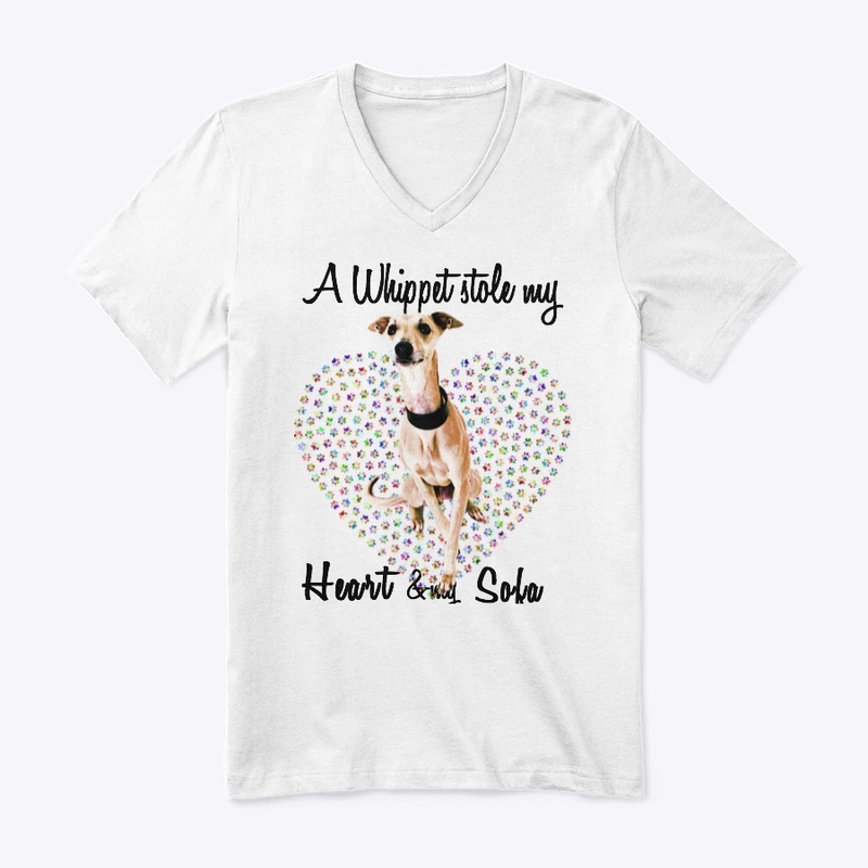 a whippet dog stole my heart