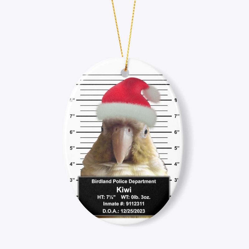 Criminal Santa Kiwi