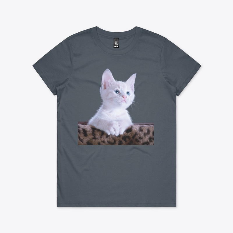 Kitten T-Shirt Hoodie The Mountain 