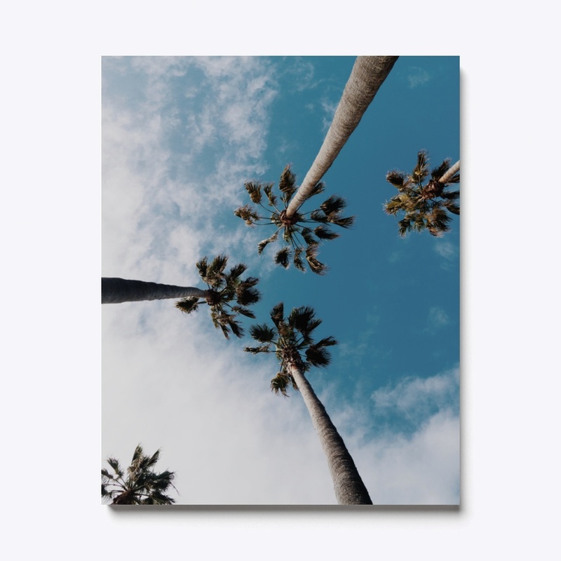 Palm Trees