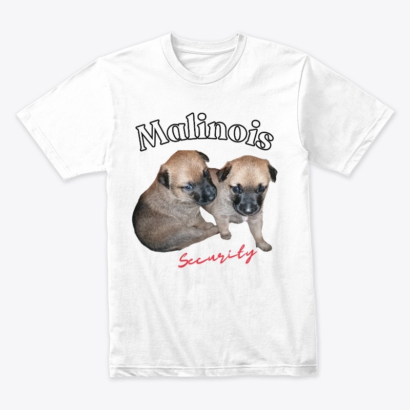 cute Malinois puppies