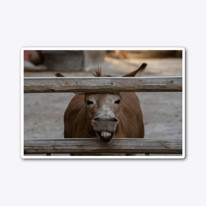 Donkey Dilemma 