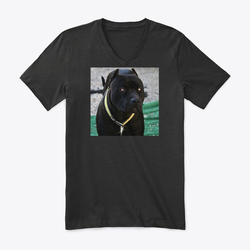 Pitbulls Black