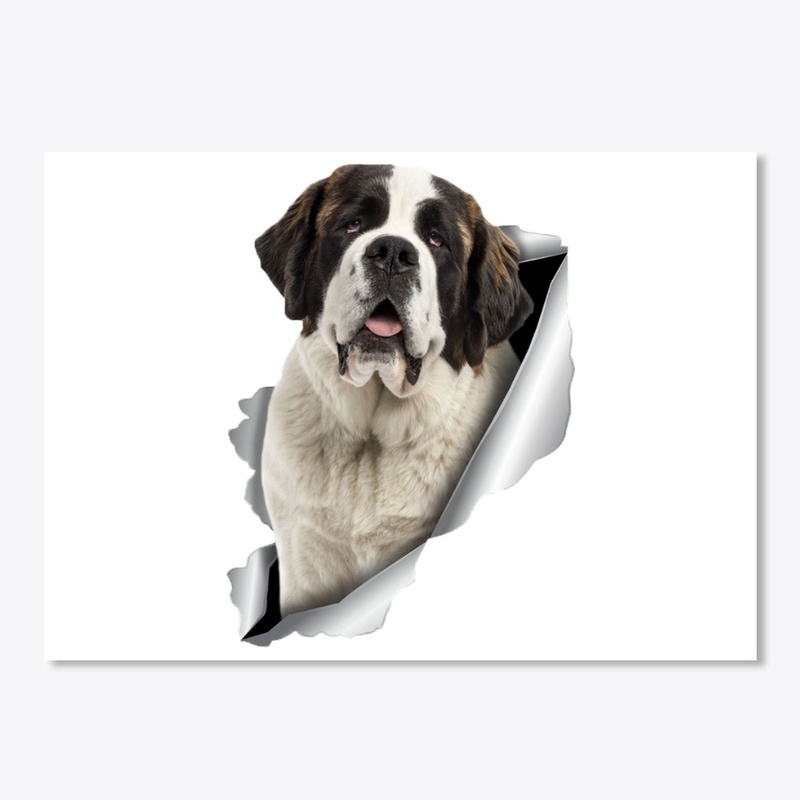 saint bernard