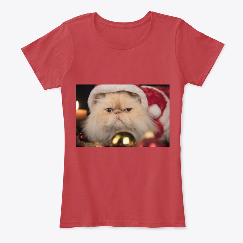 Santa Cat