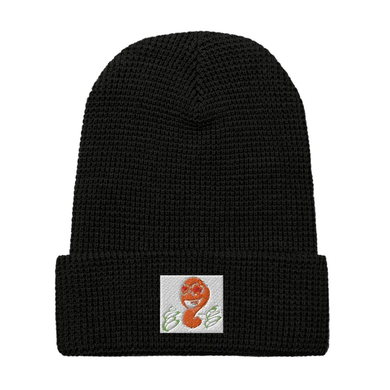 Div Jen Waffle Beanie | Richardson 146R
