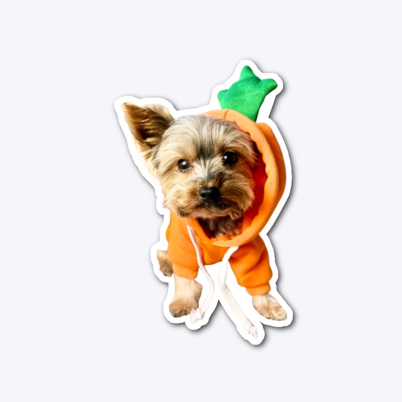 Sammy the Carrot