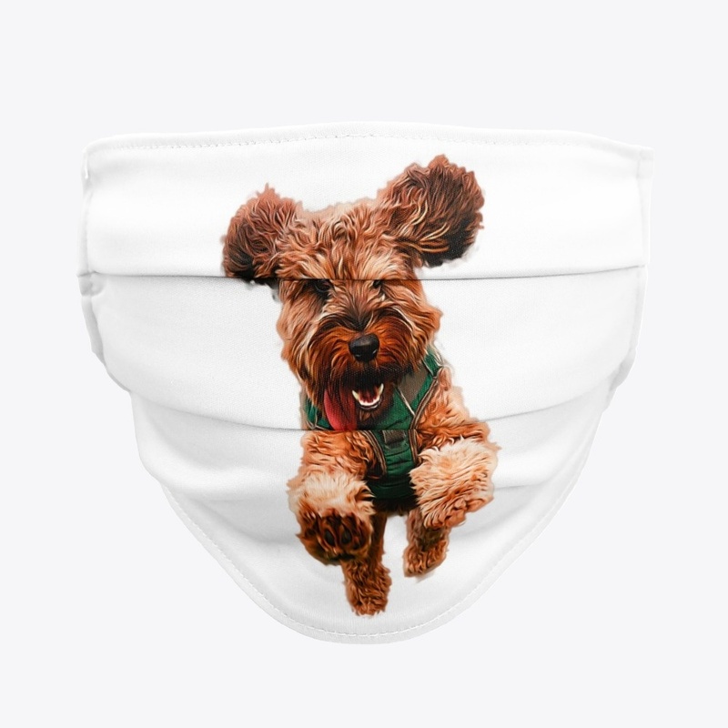 Cockapoo