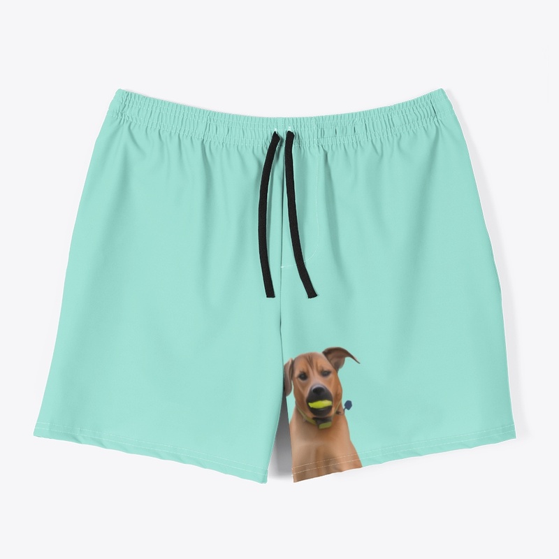 Jumping Dog with Ball