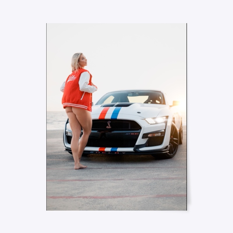 "The Jacket" 2020 Shelby GT500 Wall Art