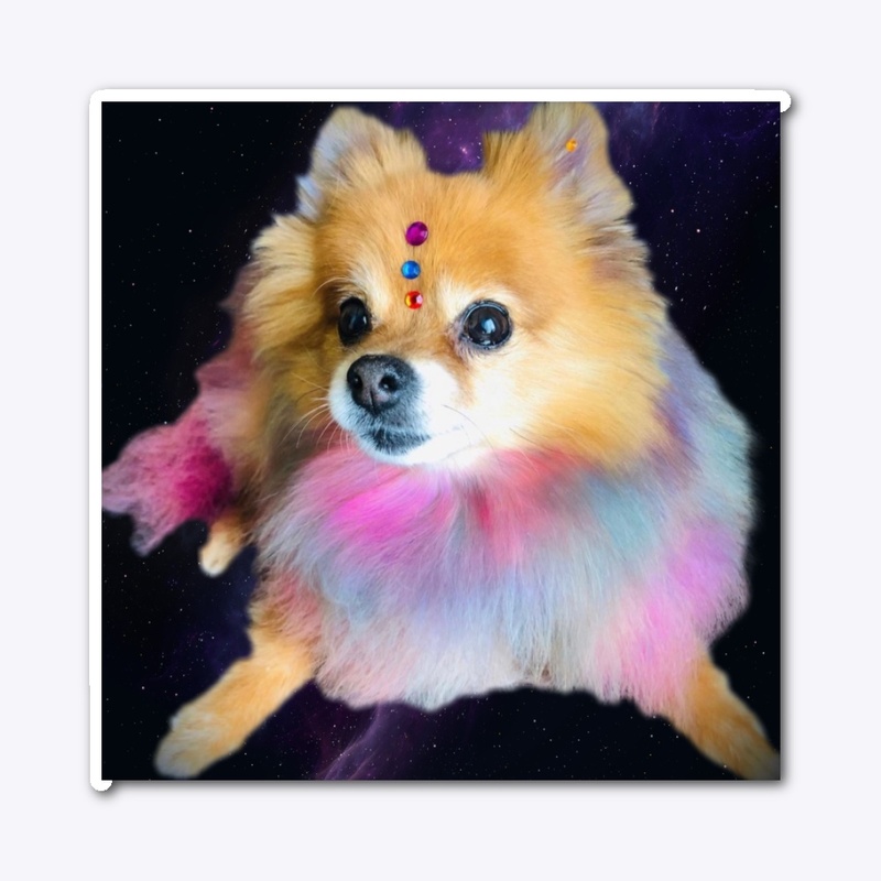 Galaxy Pom