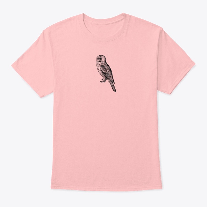 Owl İllüstrasyon