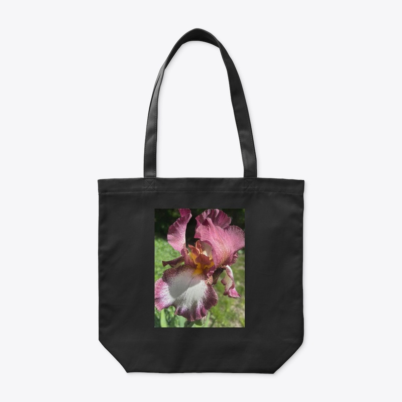 Burgundy Iris