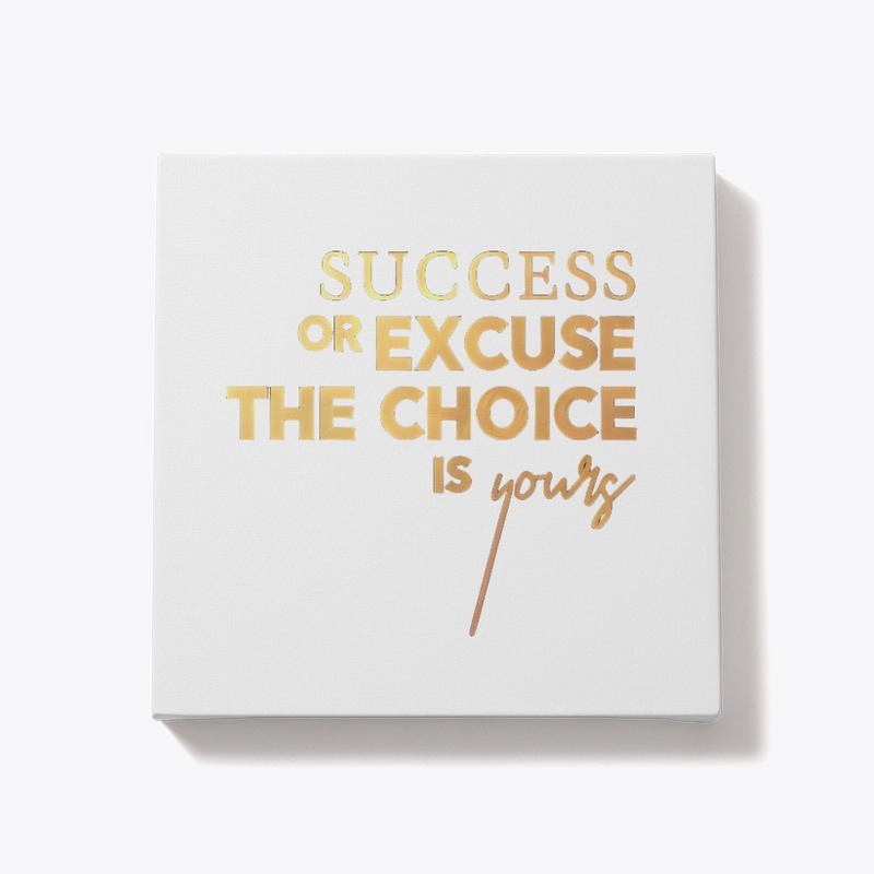 Success or Excuse The Choice is Yours