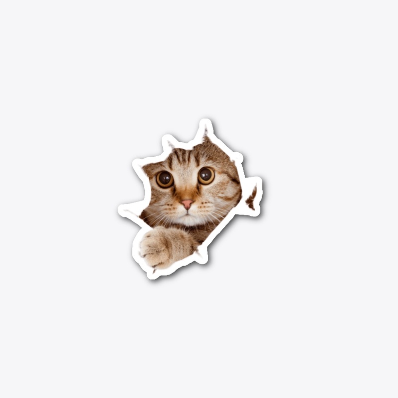 Purrfectly Adorable