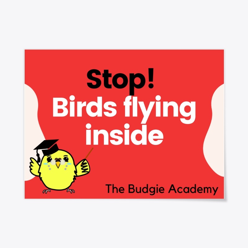Stop! Budgies Flying Inside