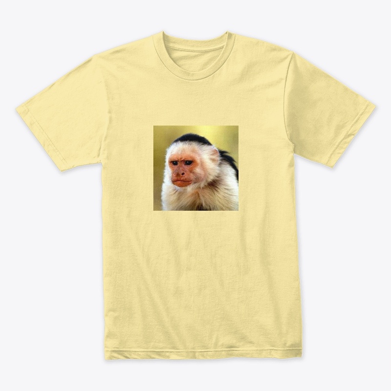 Sleepin Shirt