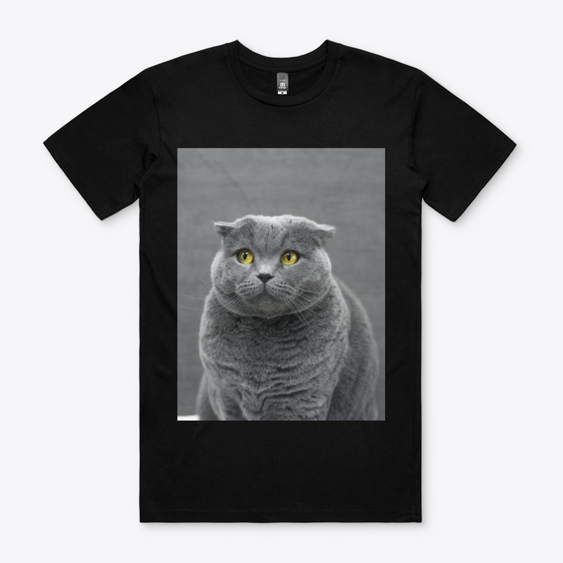 I LOVE MY CAT