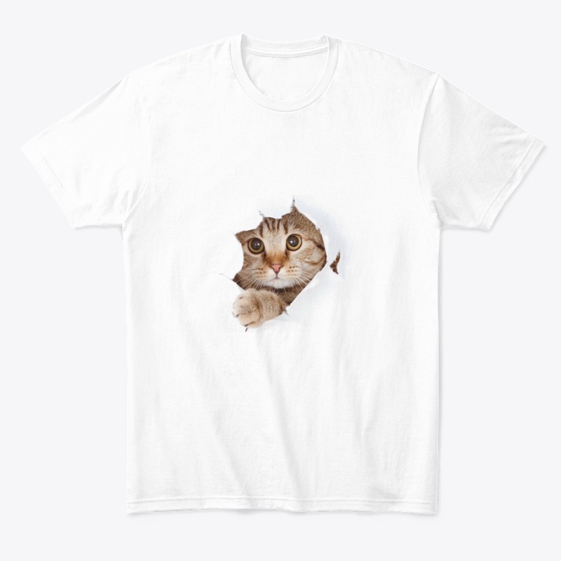 Pusy cat