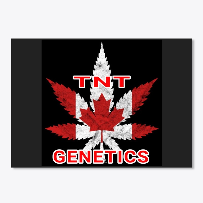 TNT GENETICS