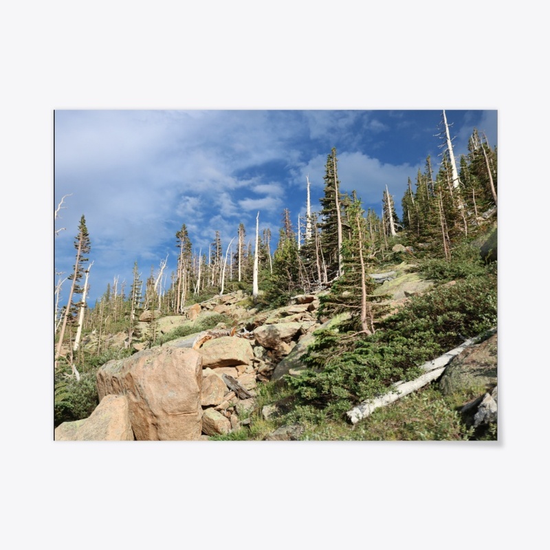 Colorado 38