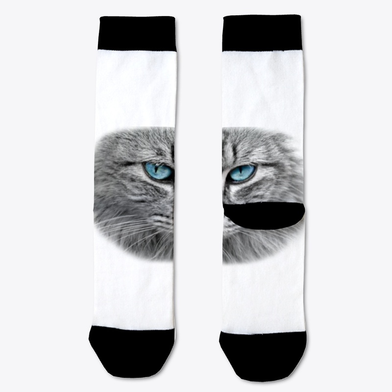 cute cat lovers