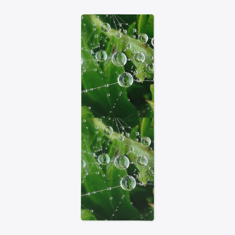 Rain Water Drops Ideas |  Spider Web
