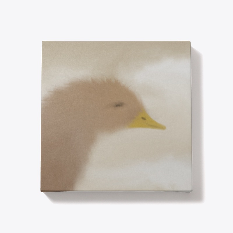 Adorable Waterfowl Chick