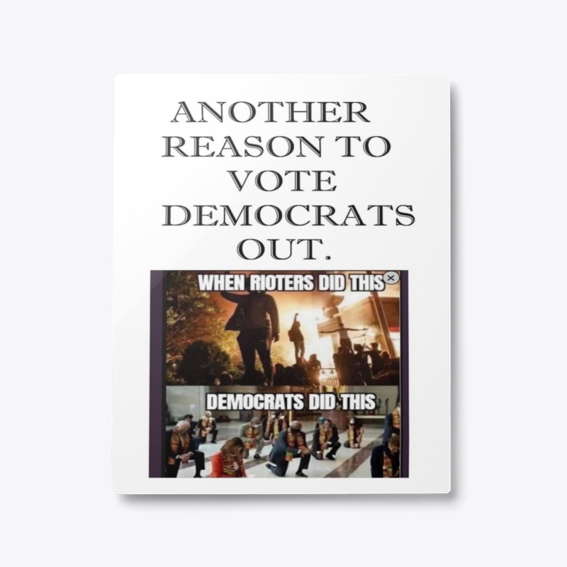 REason1 to vote Dems Out