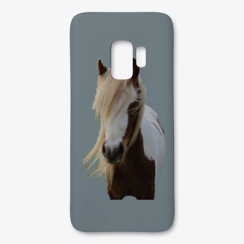Raisin the Skewbald Pony