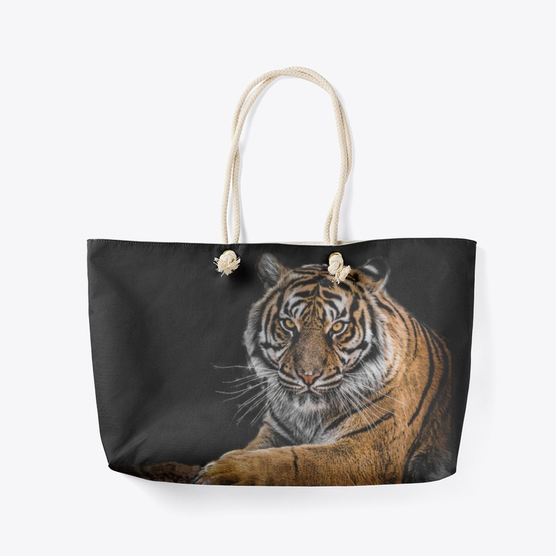 A Tiger's Look