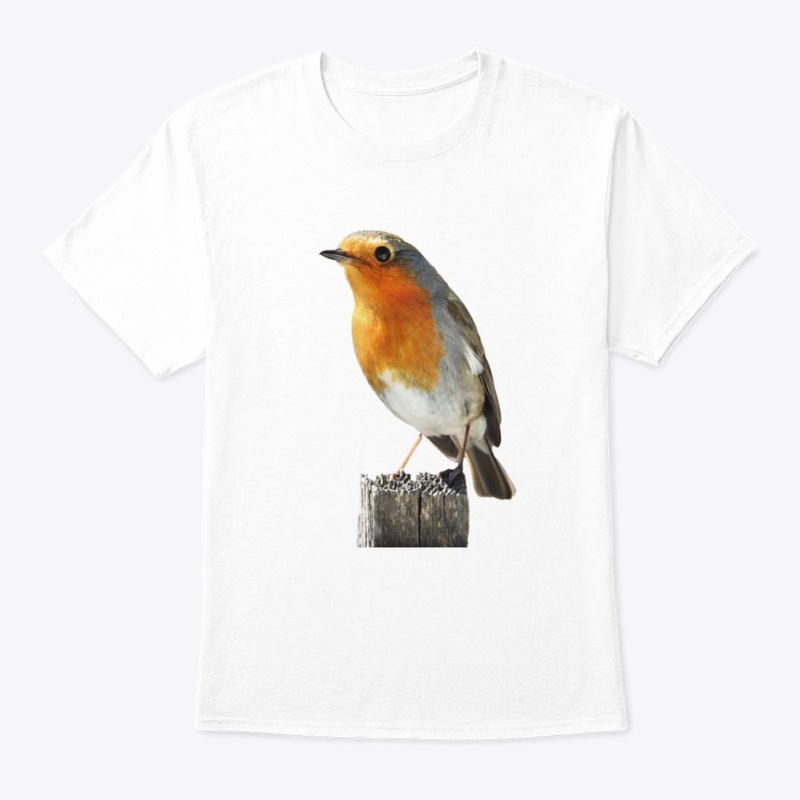 Cute Robin