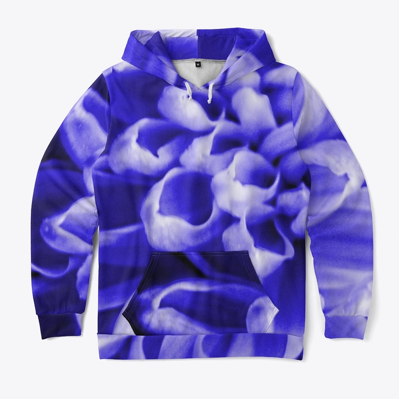 Blue Chrysanthemum