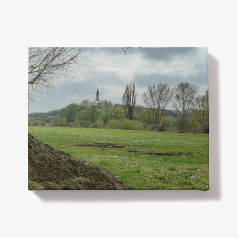 The old town of Ilok