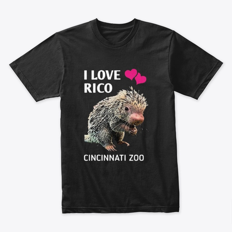 Limited Edition 0210255