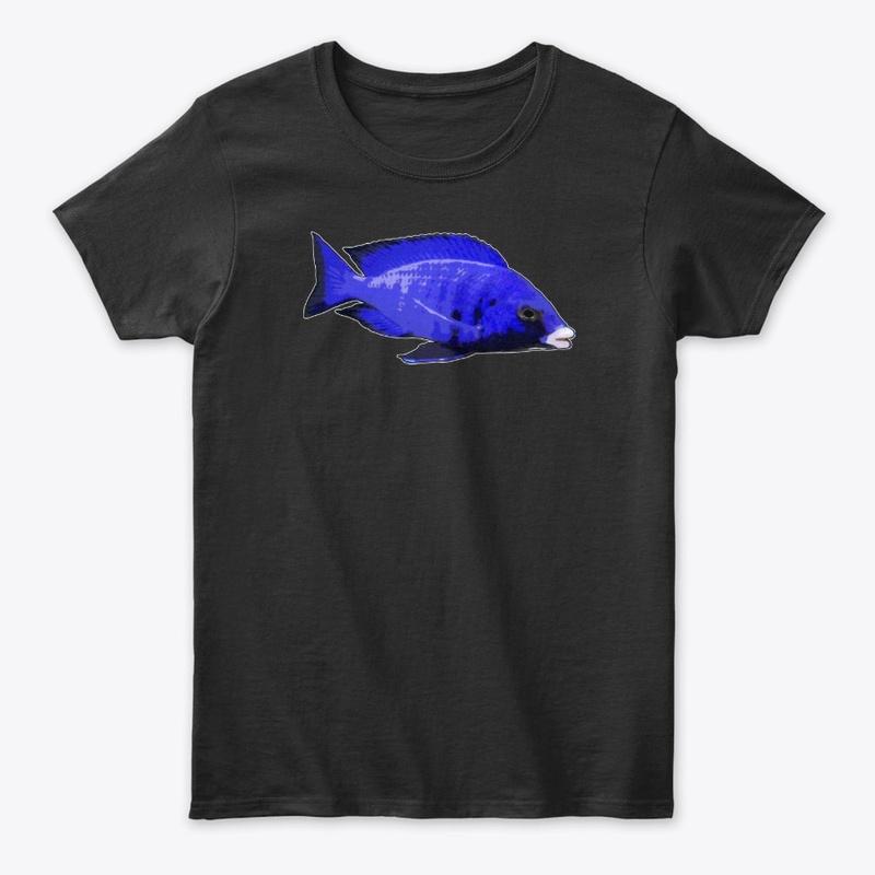 Placidochromis phenochilus Mdoka
