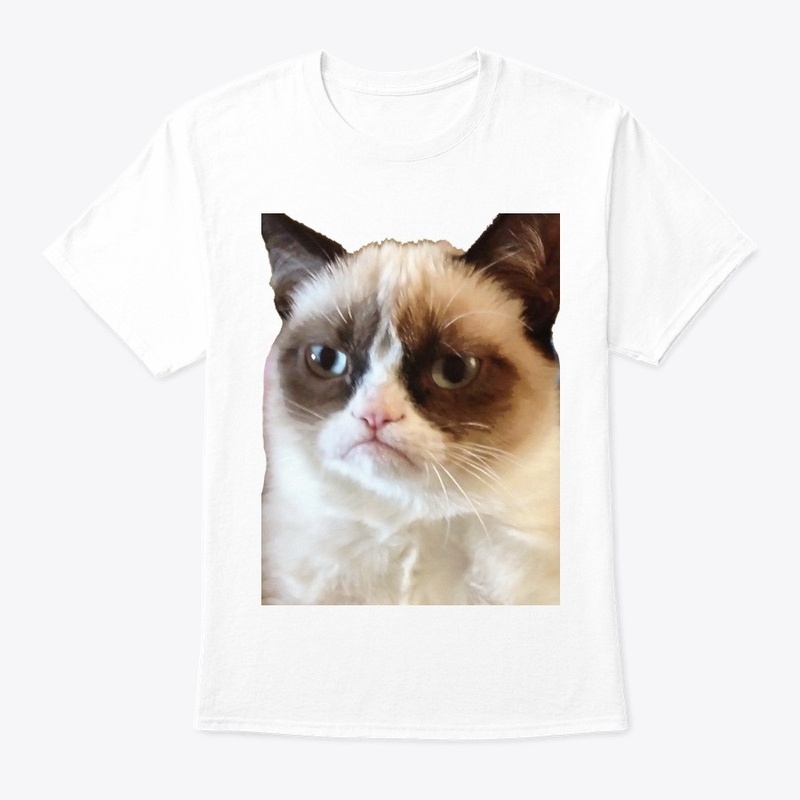 Cat no