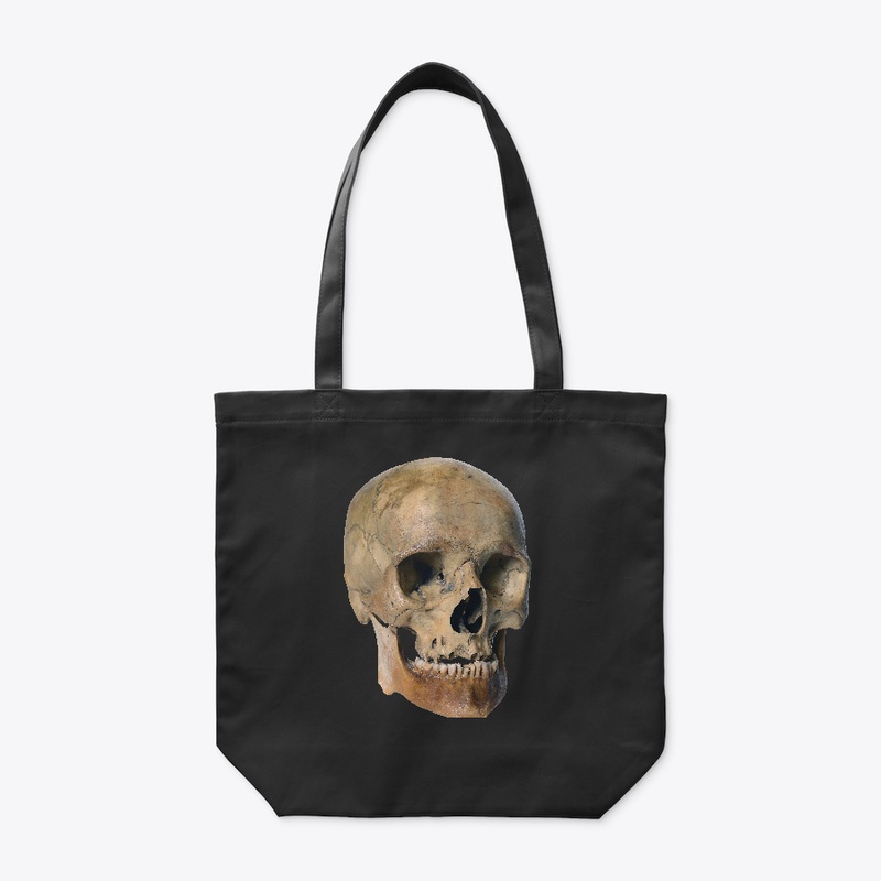 Old Weathered Skull