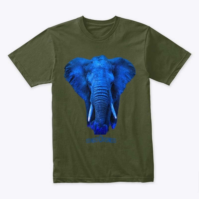 The Blue Elephant of Consciousness