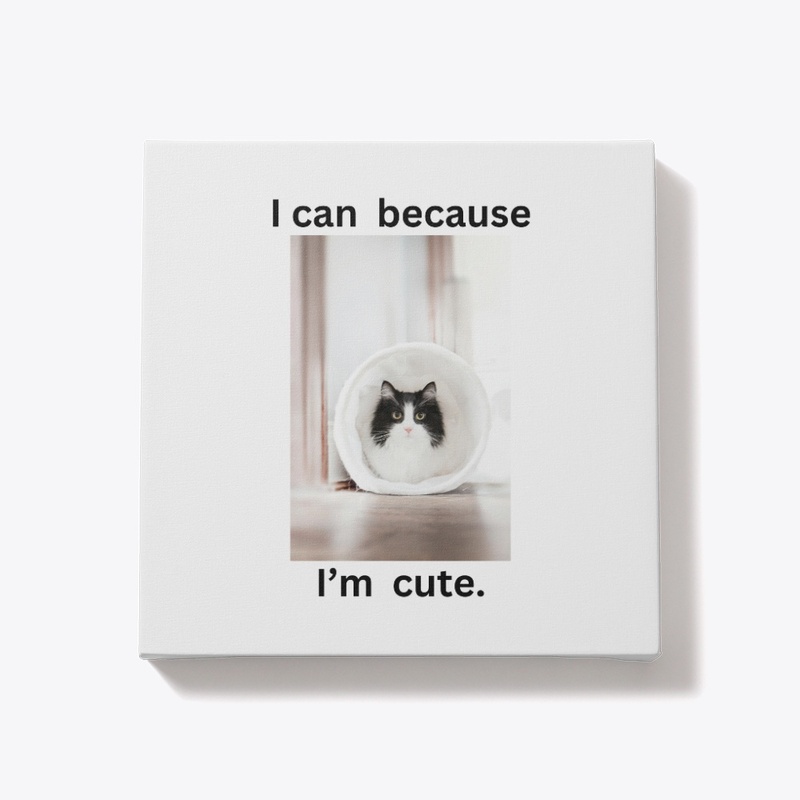 cute kitties